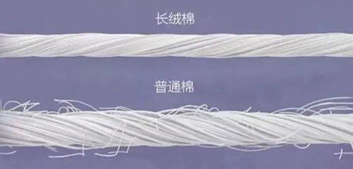 北歐風(fēng)床品新寵 毛腈混紗，如何用簡(jiǎn)約美學(xué)打造高級(jí)睡眠空間？